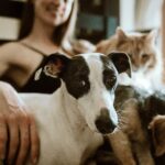 Cleaning Tips for Pet Owners